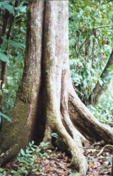 135.jpg