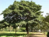 119.jpg
