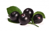 acai3.jpg